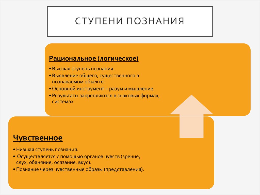 Знание имеет несколько форм. Ступени познания. Поза на ступенях. Ступени чувственного познания. Ступени рационального познания.