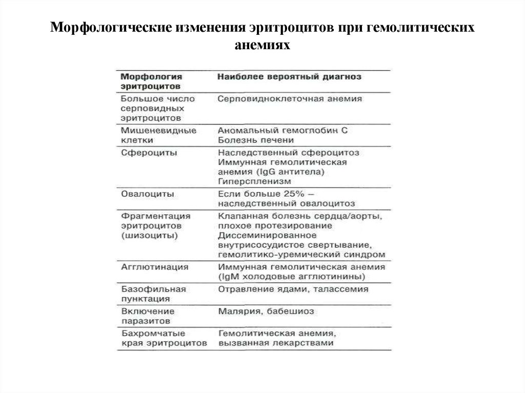 Морфологические изменения в эритроцитах рисунок