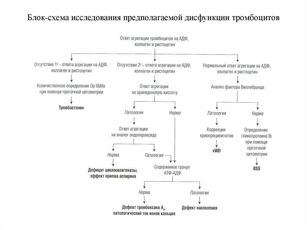 Схема исследования