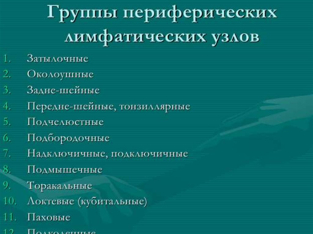 Состояние лимфатических узлов. Группы лимфатических узлов. Основные группы лимфатических узлов. Группы периферических лимфоузлов. Периферические лимфатические узлы у детей.