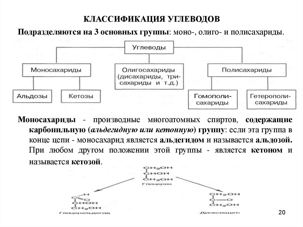 Схема 14 классификация углеводов