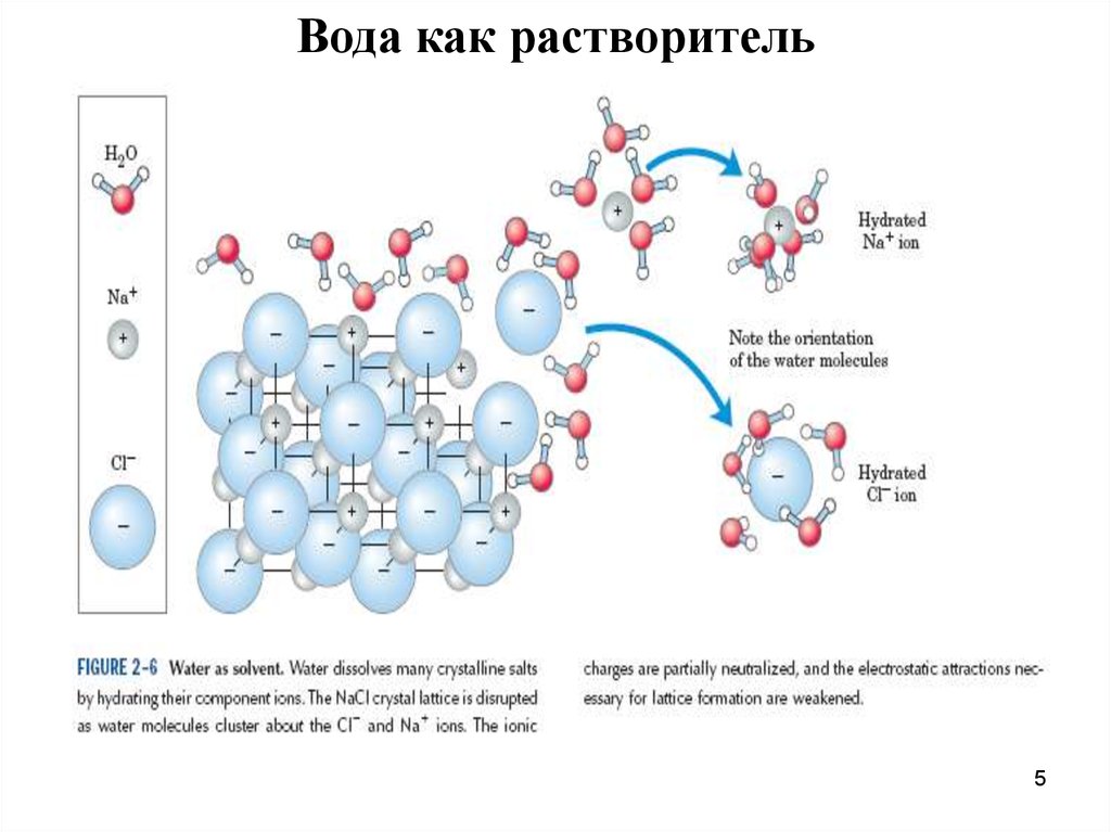 Вода в качестве растворителя