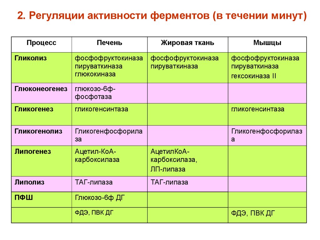 Деятельность ферментов. Регуляция активности ферментов биохимия таблица. Виды регуляции активности ферментов биохимия. Механизмы регуляции активности ферментов таблица. Способы регуляции активностиферменьов.