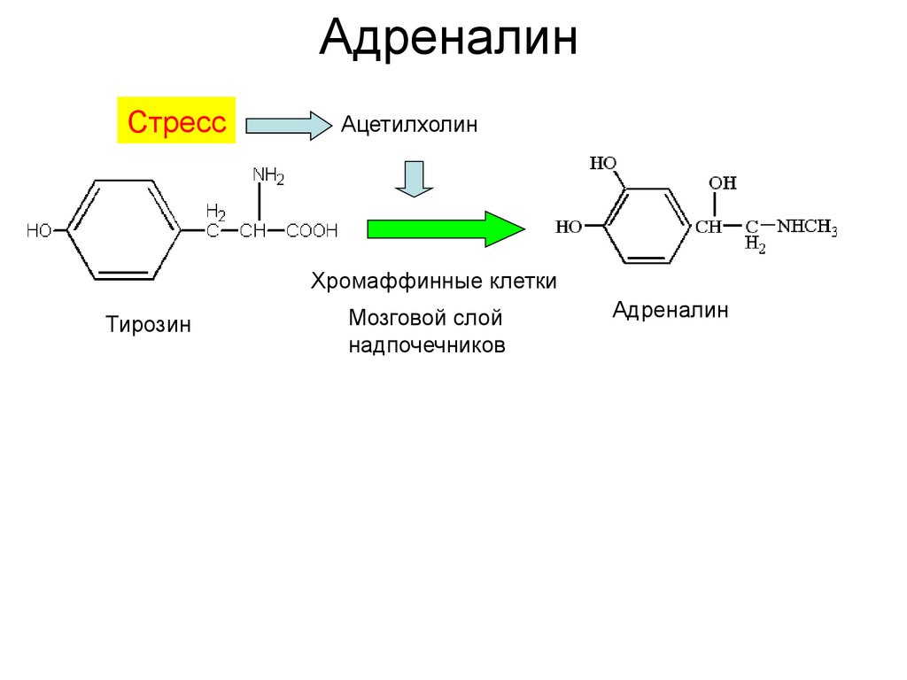 Адреналин образуется. Адреналин формула биохимия. Синтез адреналина реакция. Синтез адреналина из тирозина биохимия. Адреналин структура.