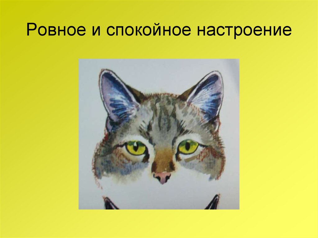 Настроение рассказа. Рассказ от лица животных. Рассказал от лица животного. Рассказ о лице животного. Рассказ от лица животного в любой форме..