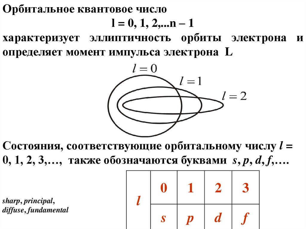 Состояние соответствующее. Орбитальное квантовое число определяет. Как определить орбитальное число. Орбитальное квантовое число обозначается. Орбитальное квантовое число l.