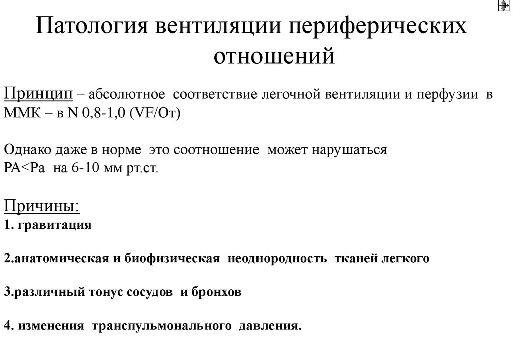 Абсолютный соответствие. Соотношение вентиляции и перфузии в норме. Соотношение вентиляции и перфузии в лёгких. Соотношение вентиляции и перфузии в норме и при патологии. Соотношение между вентиляцией и кровотоком перфузией в легких.