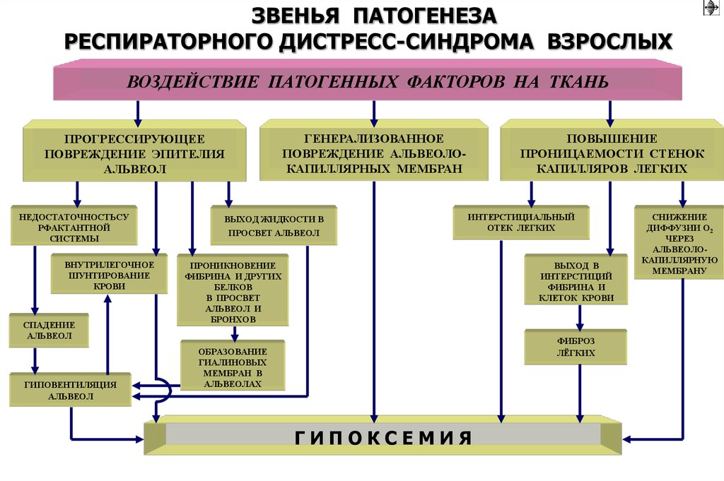 Патофизиология внешнего дыхания презентация