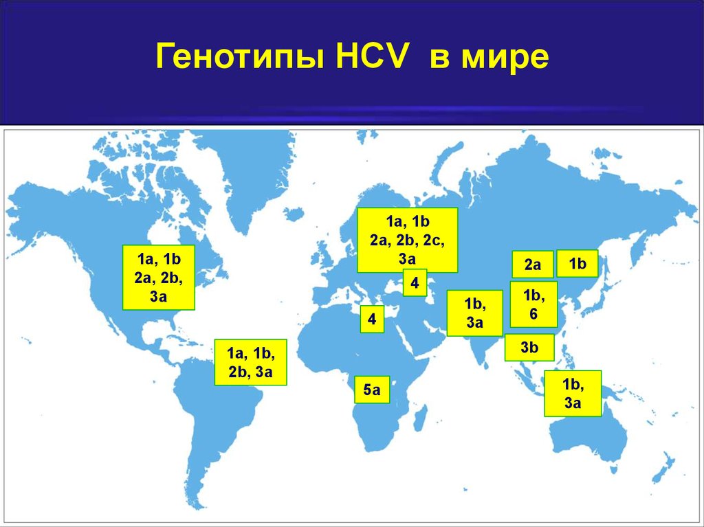 Генотип 2 вируса гепатита с. Генотип HCV. Генотипы вируса гепатита с. Генотипы вируса гепатита с карта.