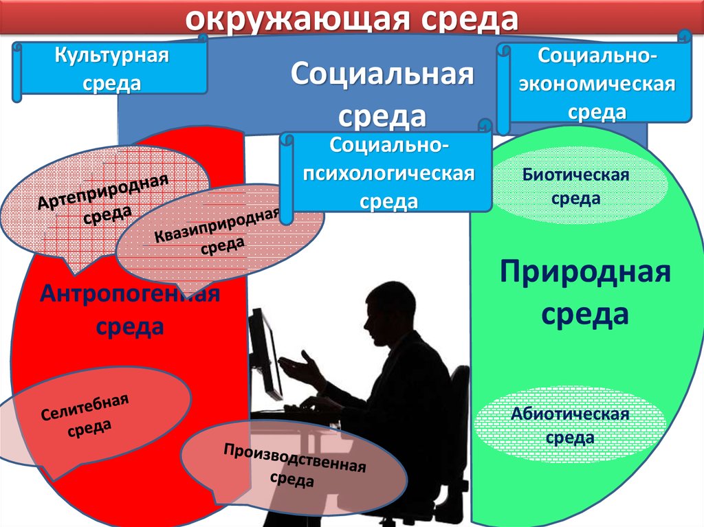 Социальная среда человека