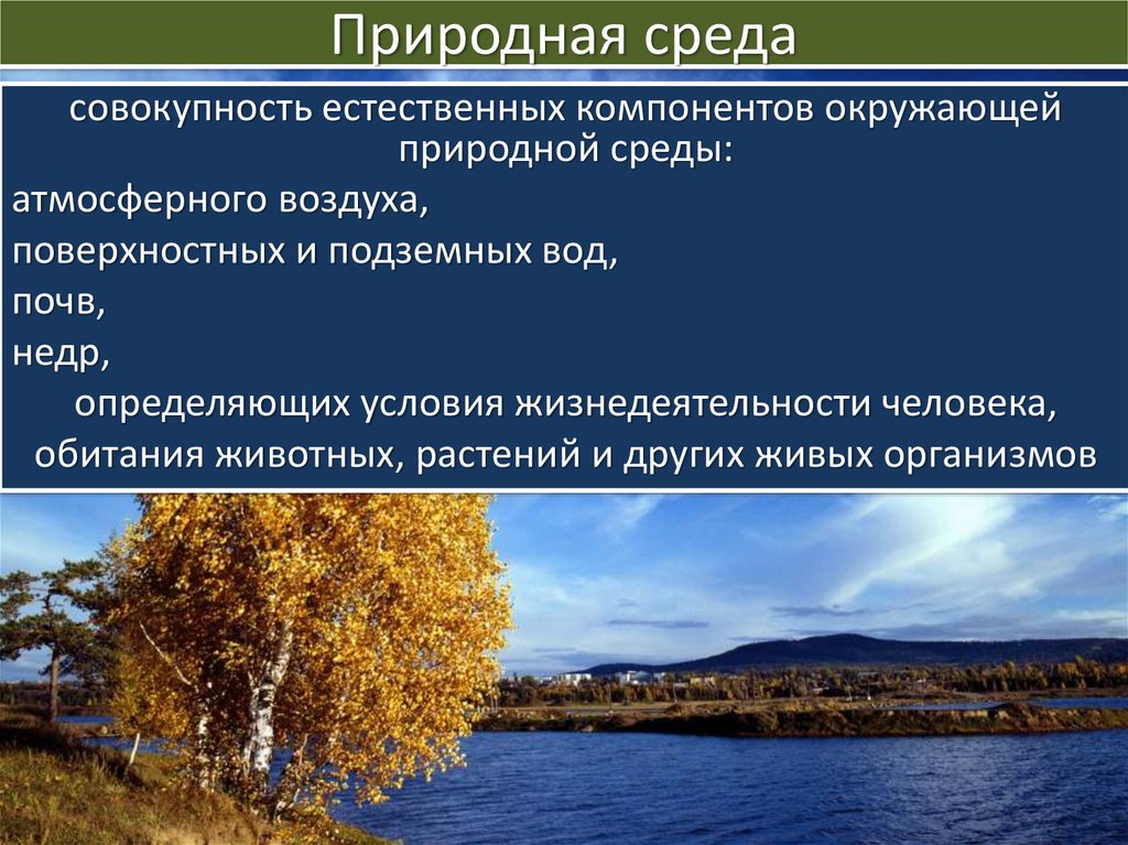 Совокупность объектов природы. Природная среда. Природнаясредаобиьания. Окружающая среда и природная среда. Элементы природной среды.