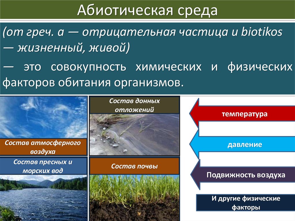 Компоненты природной среды природные объекты. Абиотические факторы окружающей среды. Абиотические факторы среды обитания. Абиотические экологические факторы. Абиотическая среда.