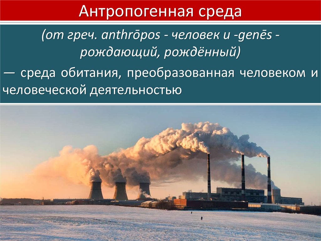 Среда природно антропогенных объектов. Антропогенная среда. Антропогенная среда обитания. Антропогенные факторы окружающей среды. Антропогенная окружающая среда это.