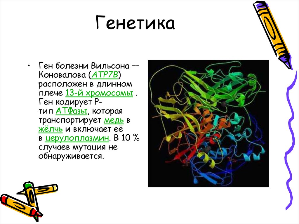 Болезнь вильсона коновалова клиническая картина