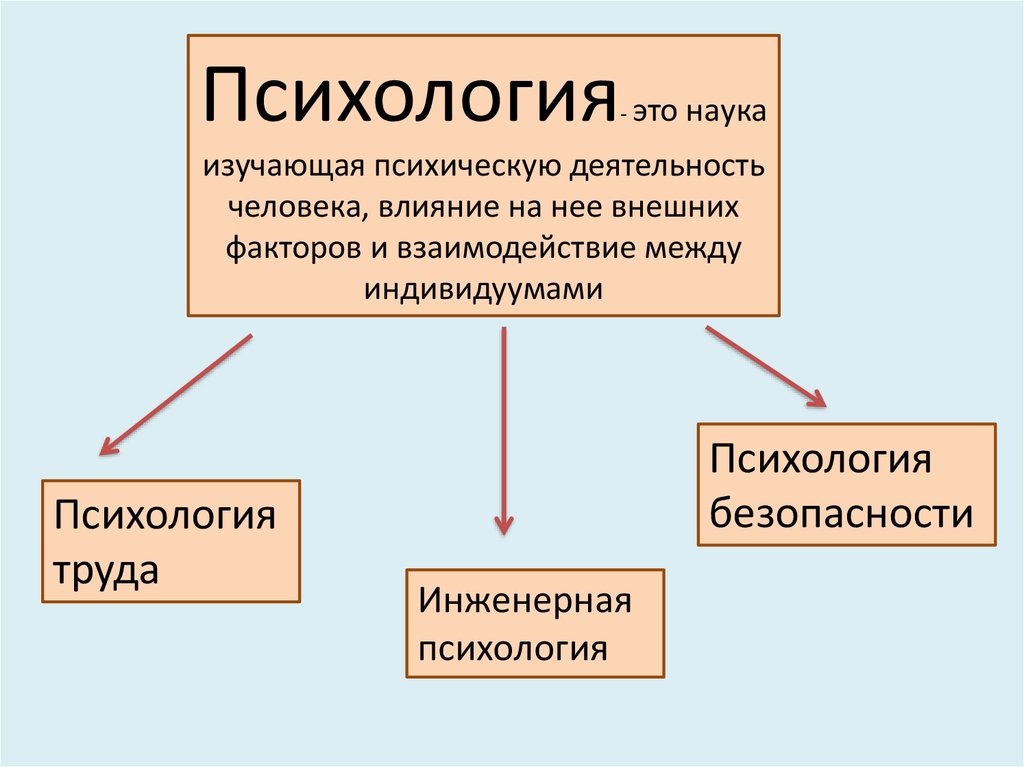 Что такое психические процессы