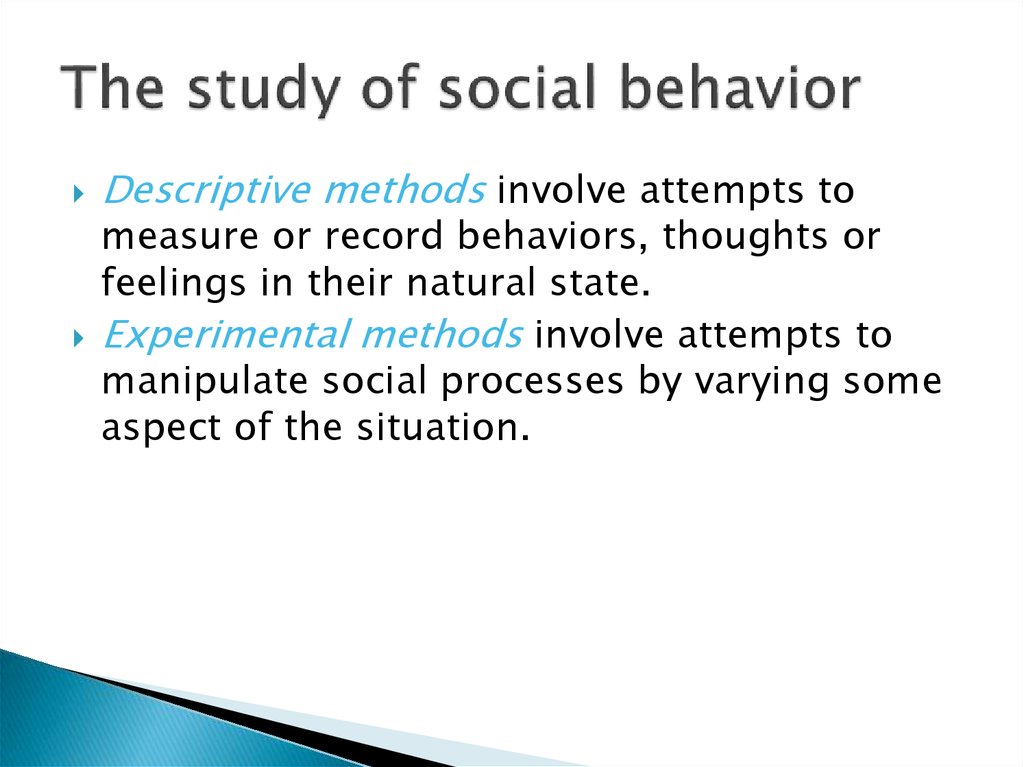 The study of social behavior