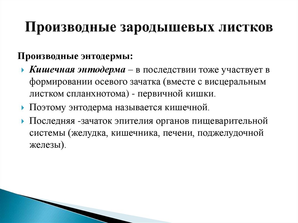 Производные зародышевых. Производные зародышевых листков. Производные энтодермального листка. Производные зародышевых листков энтодерма. Производные зародышевой энтодермы.