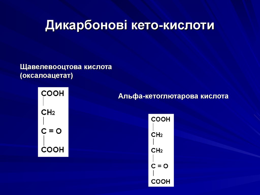 Дикарбонові кето-кислоти