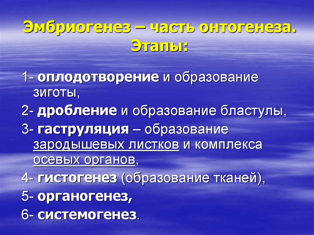 2 дробление. Этапы оплодотворения. Оплодотворение и первые этапы развития зиготы. Органогенез слои. Понятие системогенеза.