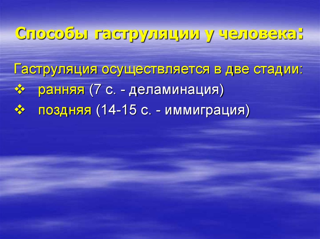 Позднее 14. Гаструляция деламинация 7-14 суток.