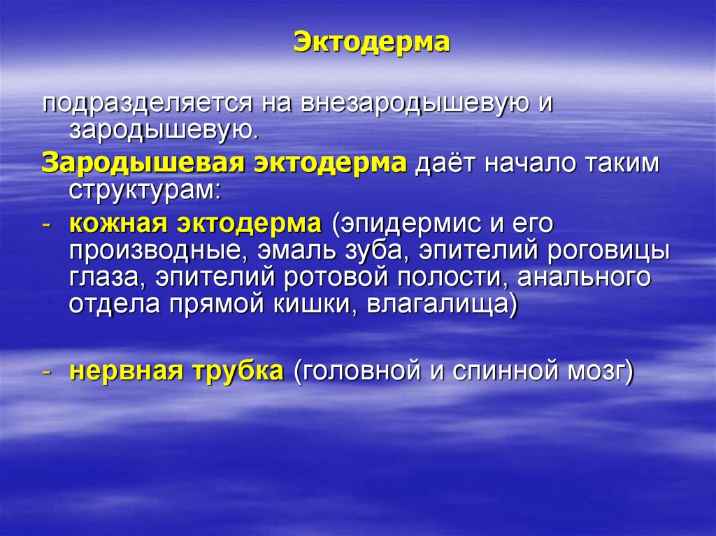 Эктодерма дает начало. Зародышевая эктодерма. Внезародышевая эктодерма дает начало. Образование внезародышевой эктодермы.