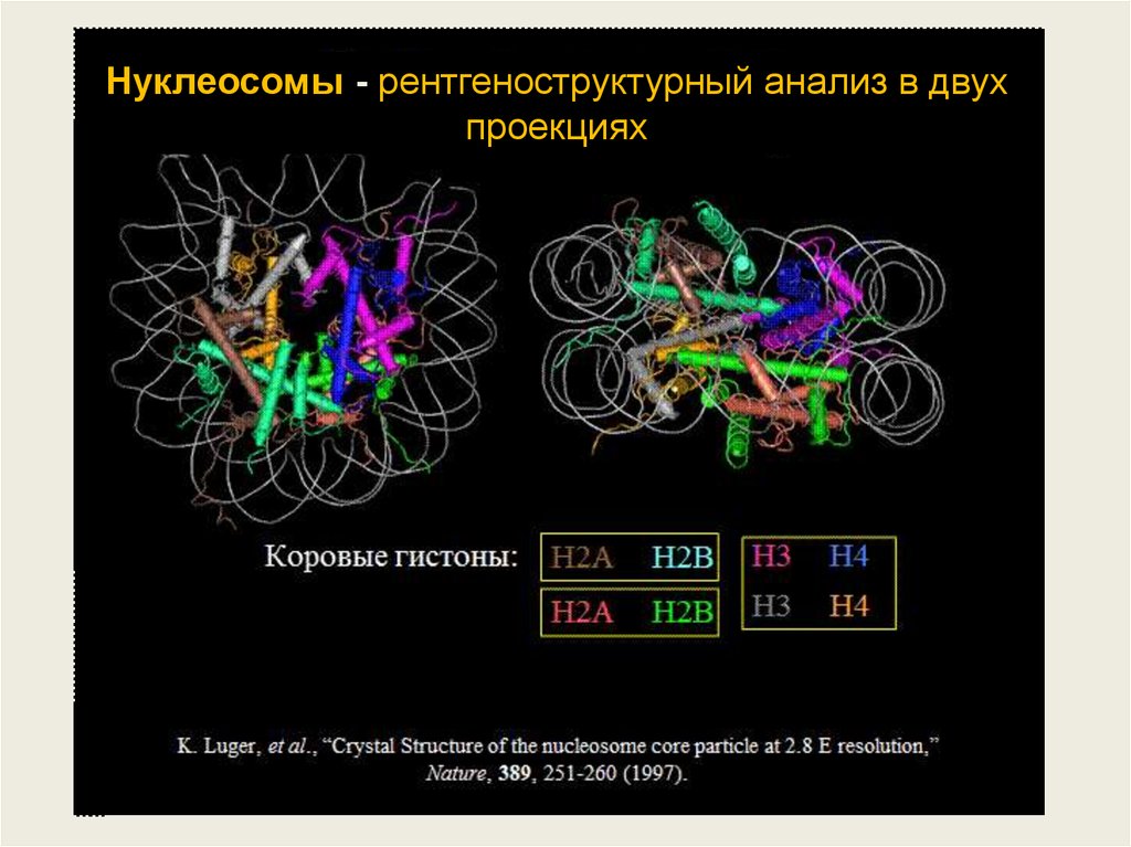 Исследование белков. Рентгеноструктурный анализ белков биохимия. Рентгеноструктурный анализ в биологии. Метод рентгеноструктурного анализа в биологии. Рентгеноструктурный анализ белка.