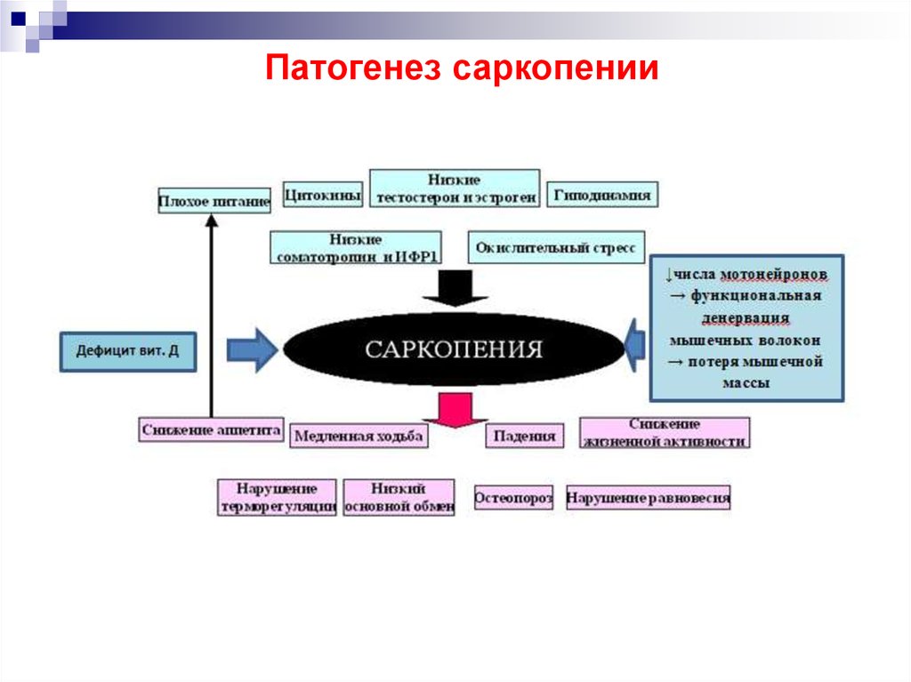 Саркопения что это такое симптомы лечение у женщин препараты схема лечения