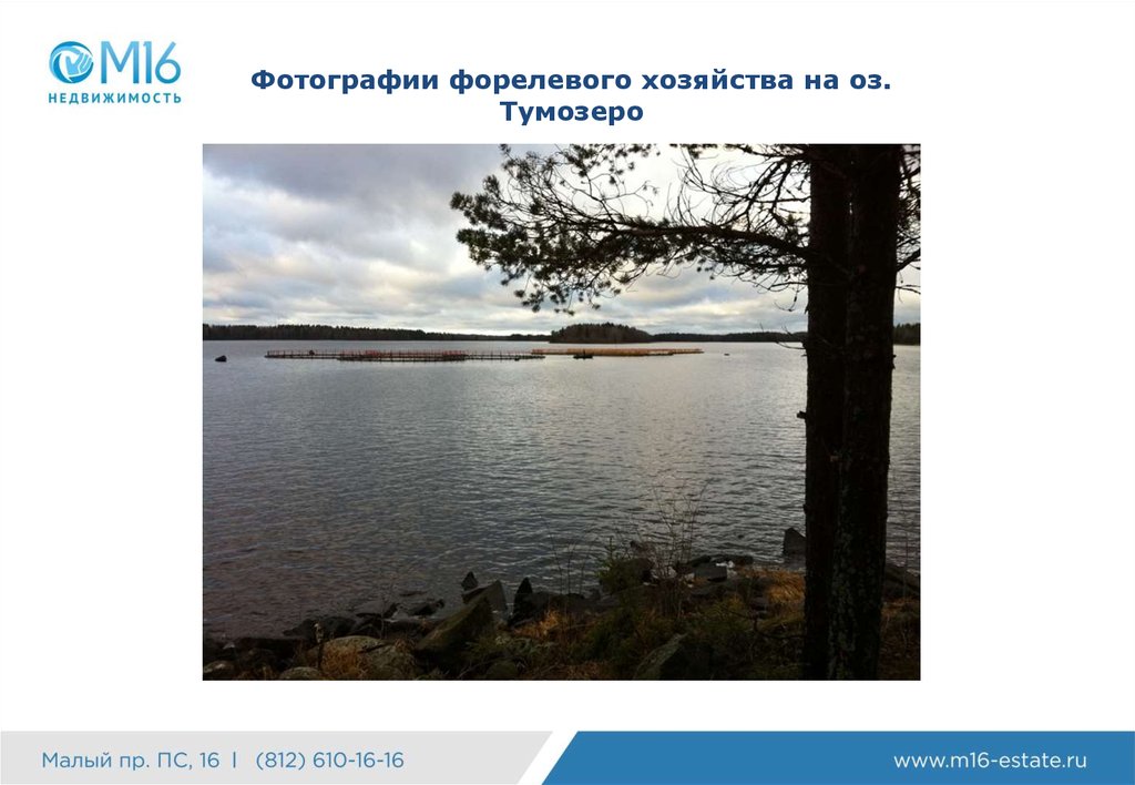 Фотографии форелевого хозяйства на оз. Тумозеро