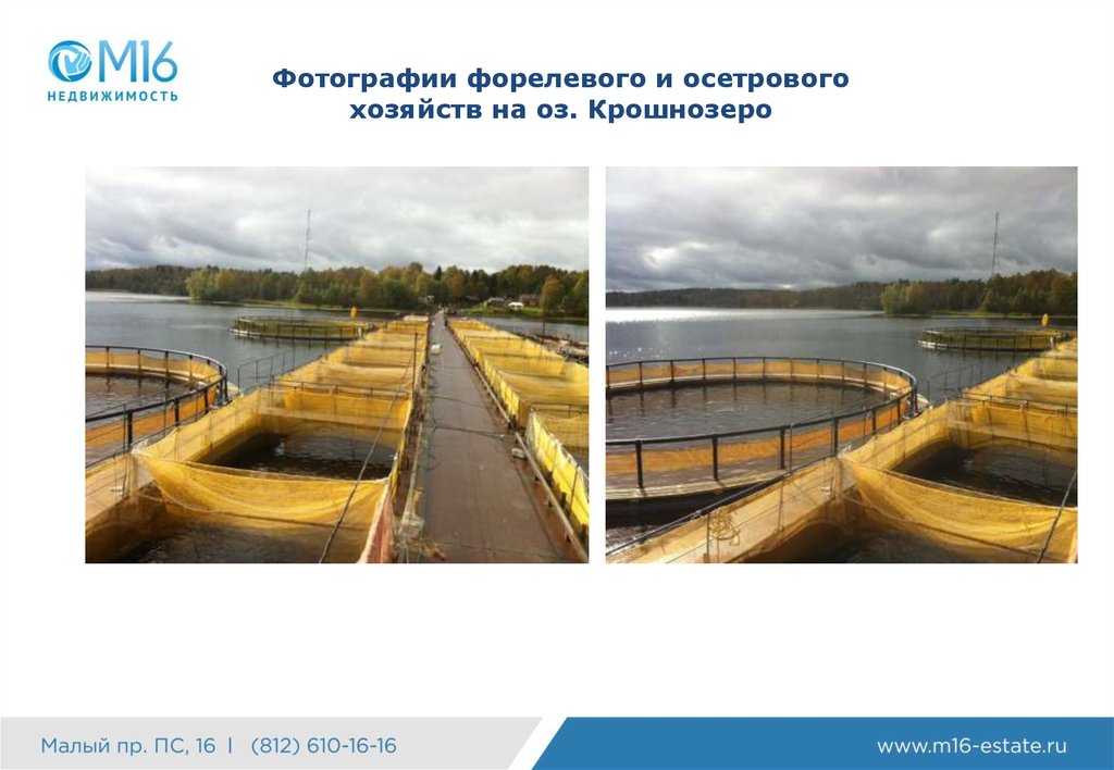 Фотографии форелевого и осетрового хозяйств на оз. Крошнозеро