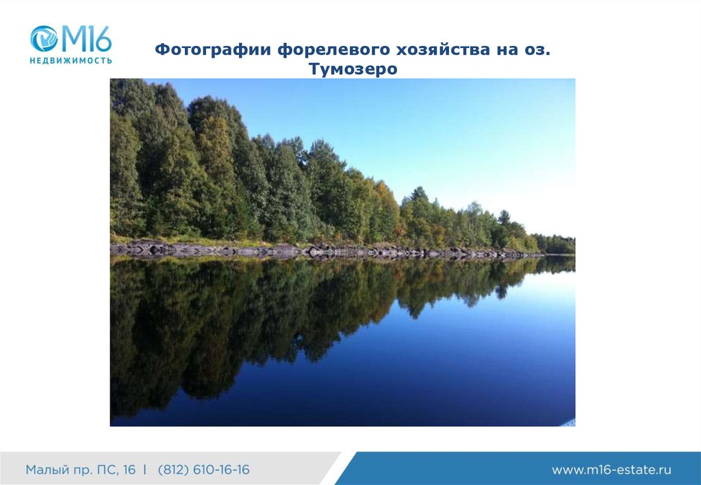 Фотографии форелевого хозяйства на оз. Тумозеро