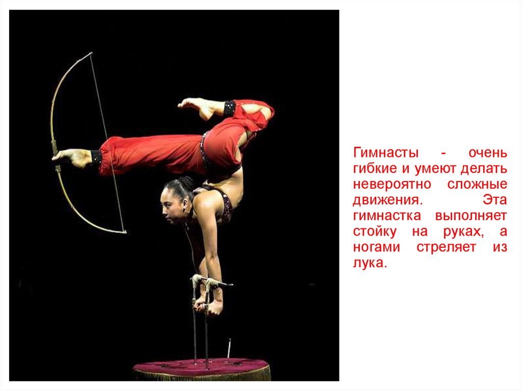 Гимнасты - очень гибкие и умеют делать невероятно сложные движения. Эта гимнастка выполняет стойку на руках, а ногами стреляет из лука.