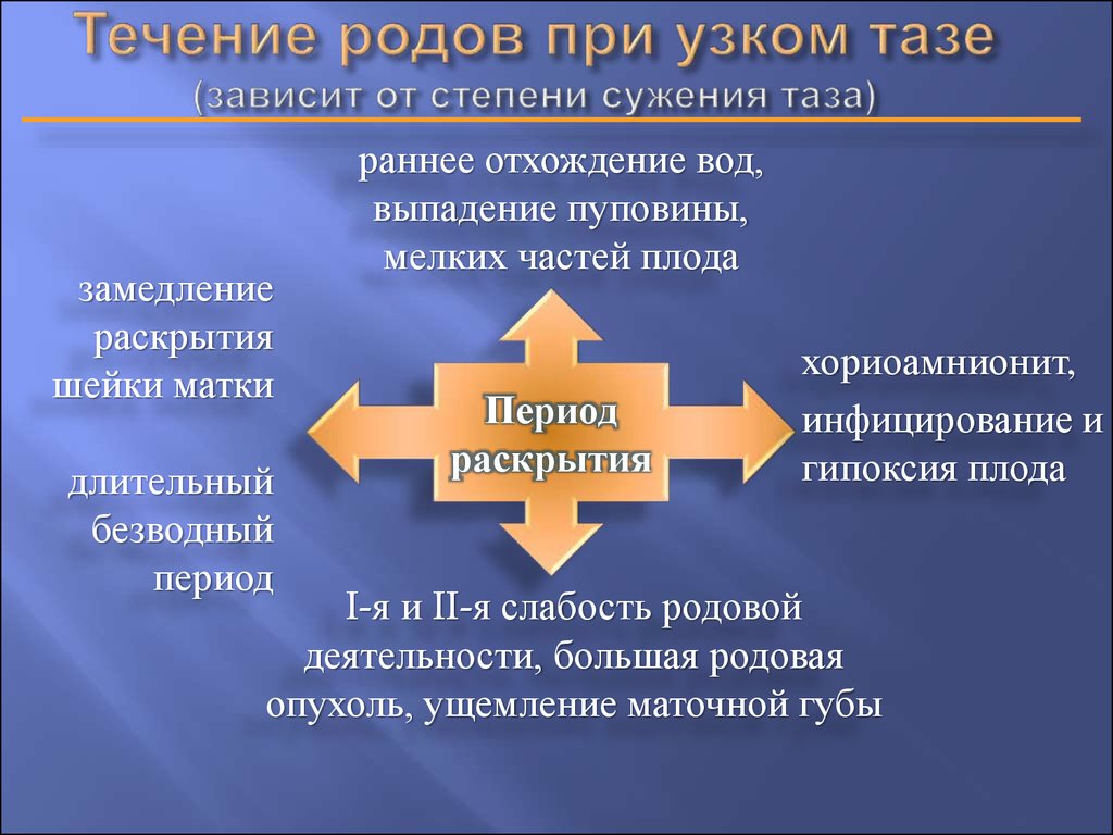 Течении род