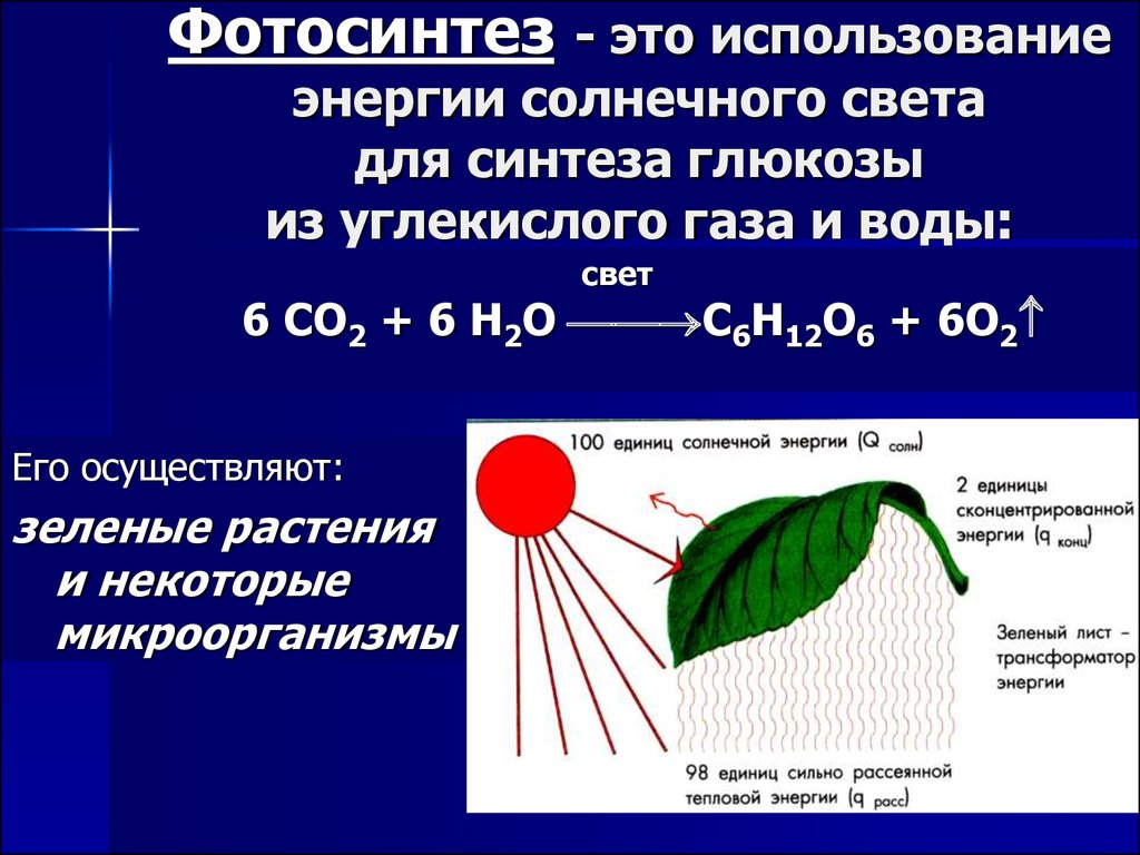 Кислород углекислый газ вода солнечный свет. Со2 фотосинтез реакция. Фотосинтез растений стадии. Фотосинтез растений 2 кл. Фотосинтез о2 со2.