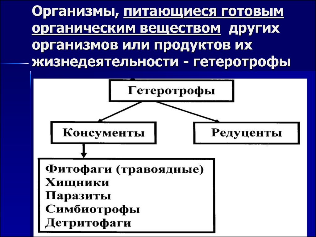 Организм и среда - презентация онлайн