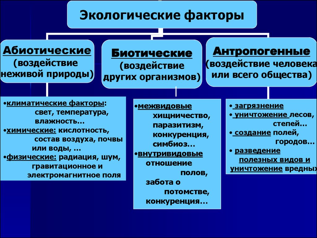 Организм и среда - презентация онлайн