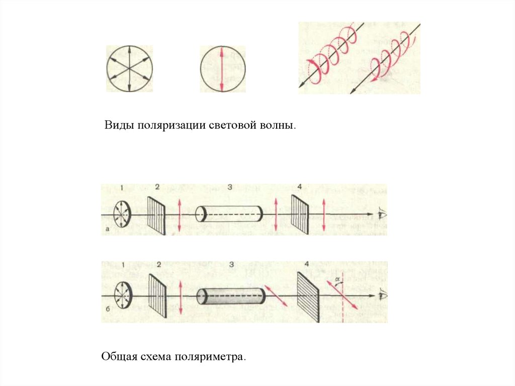 Изобразите оптическую схему поляриметра