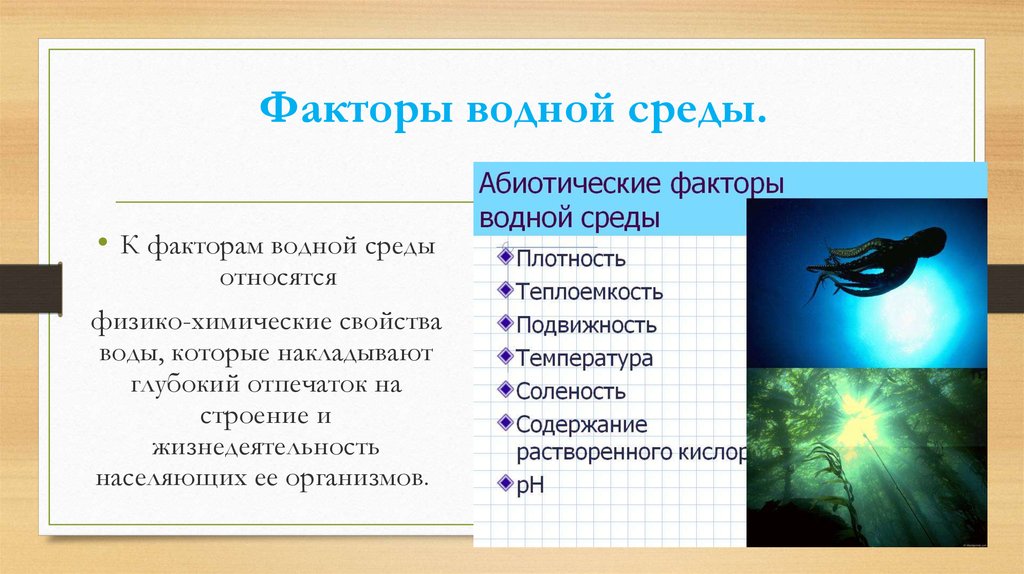 Характеристика комплекса экологических условий среды. Факторы водной среды. Абиотические факторы водной среды. Экологические факторы водной среды. Организмы обитающие в водной среде.