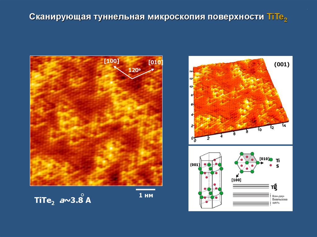 Сканирующий туннельный микроскоп фото