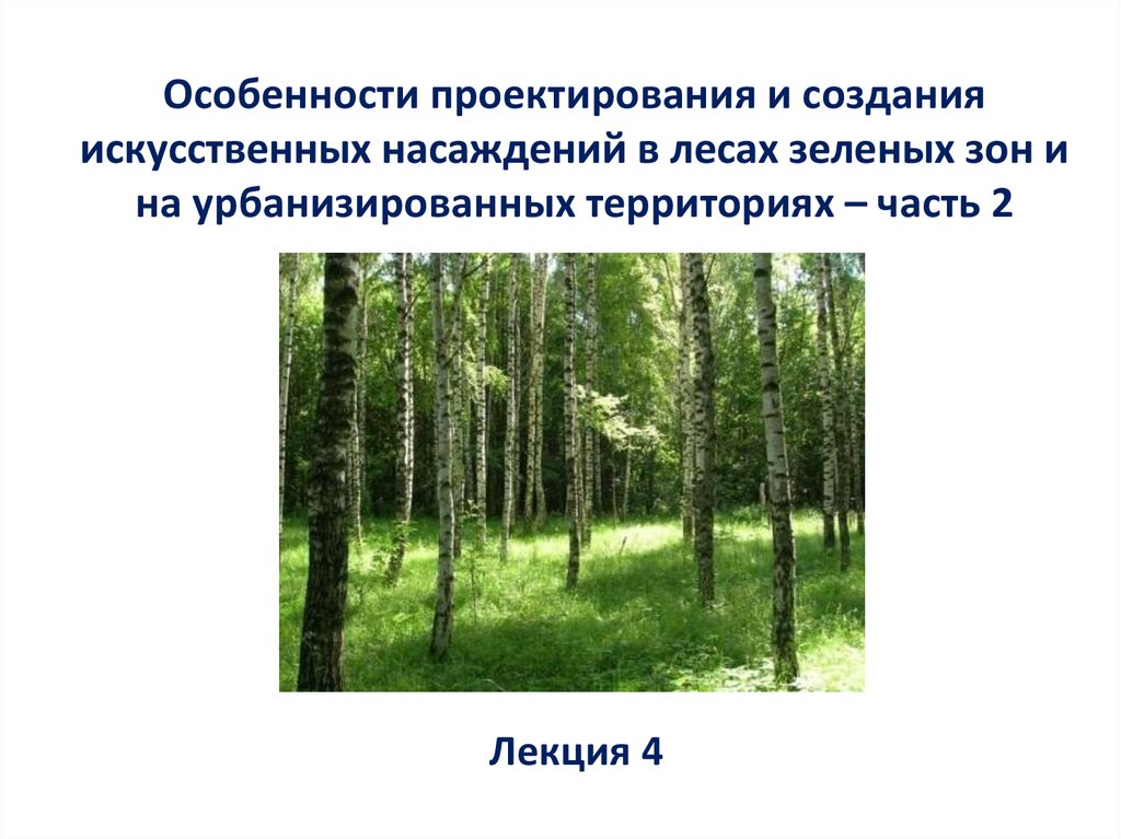 Увеличение биологической продуктивности природных зон. Проектирование искусственных насаждений. Леса зеленых зон. Зеленые насаждения для презентации. Особенности леса.