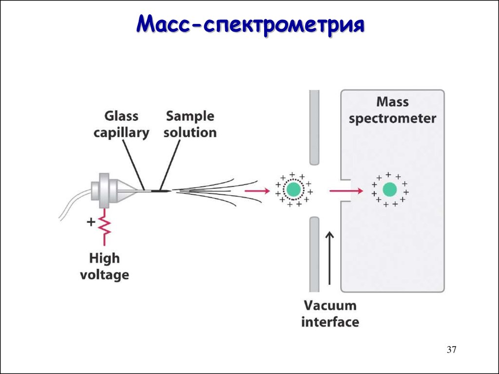 Масс спектрометр. Тандемная масс-спектрометрия принцип. Основы устройства масс-спектрометров. Масс спектрометр Томпсона. Схема метода масс спектрометрии.