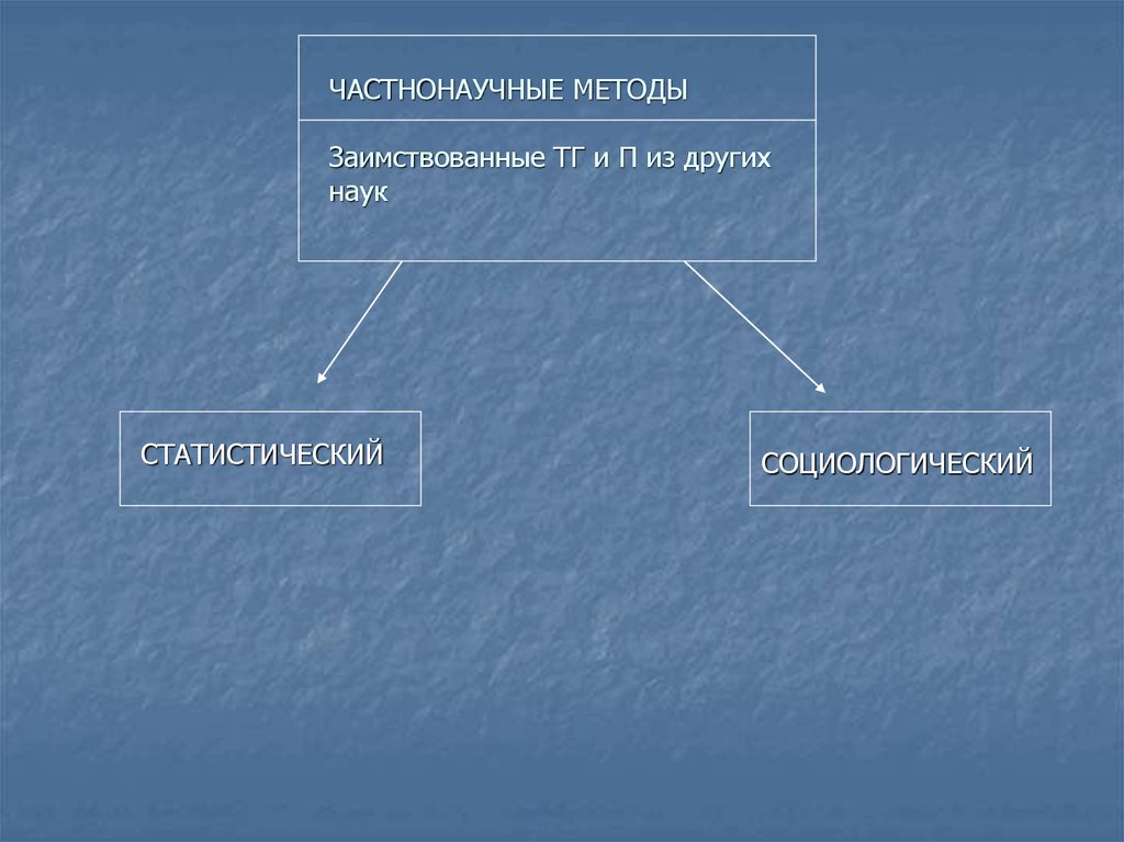 Частнонаучные методы. К частнонаучным методам относится. Частно научный метод. Частнонаучные методы в биологии. Частнонаучные методы статистический.