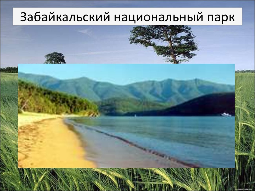 Классе национальный парк. Забайкальский национальный парк презентация. Национальный парк России презентация. Заповедники и парки в нашем крае. Парки России. И заповедники России.