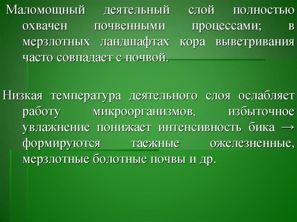 Деятельный слой. Деятельный слой почвы. Деятельная поверхность это. Измерение температуры деятельного слоя.