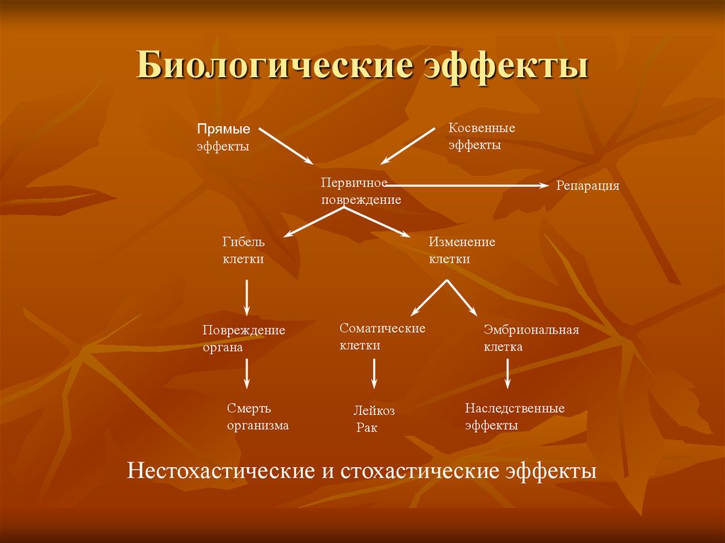 Косвенно ионизирующее излучение. Биологические эффекты соматические. Стохастические эффекты ионизирующего излучения. Первичное повреждение клетки. Прямые и косвенные эффекты.