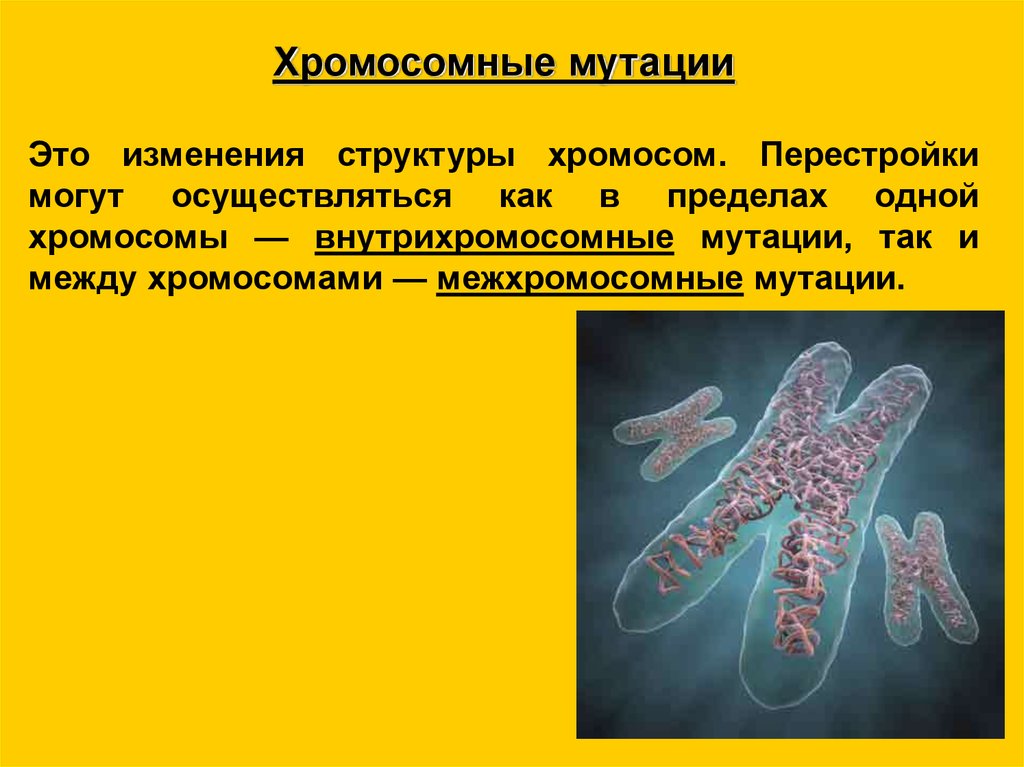 Мутации несовместимые с жизнью организма называются