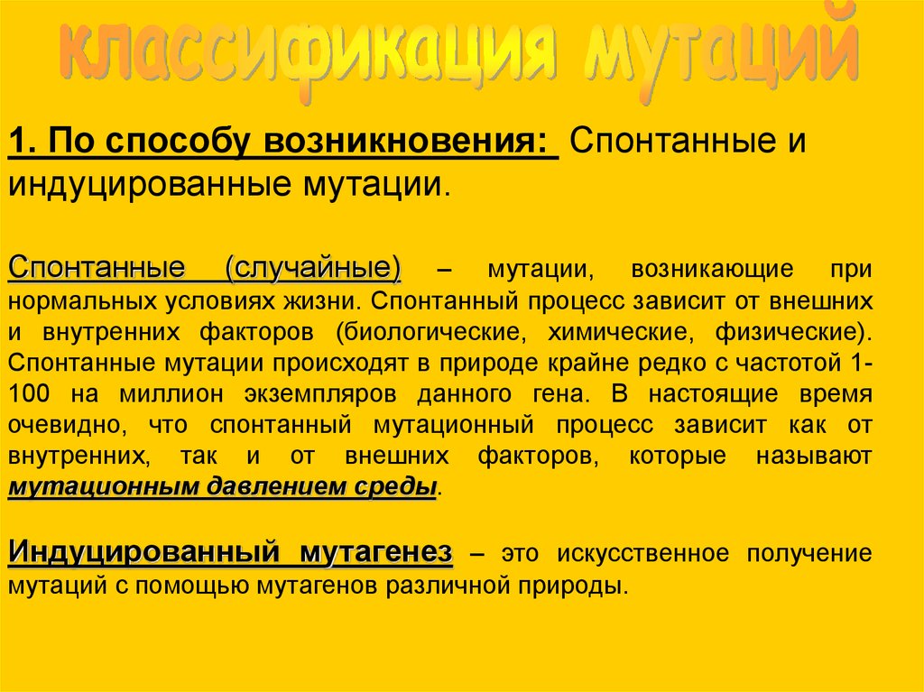 Значение спонтанных мутаций в том что. Спонтанные мутации примеры. Причины спонтанных мутаций. Индуцированные мутации. Значение спонтанных мутаций.