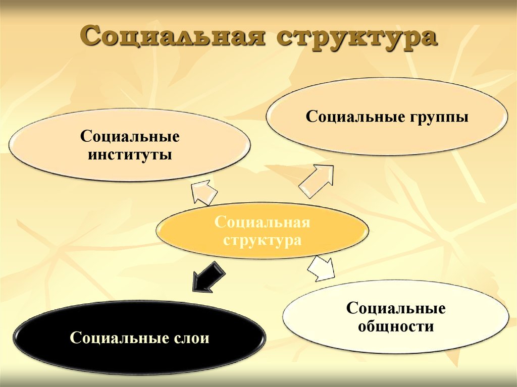 Социальная структура план