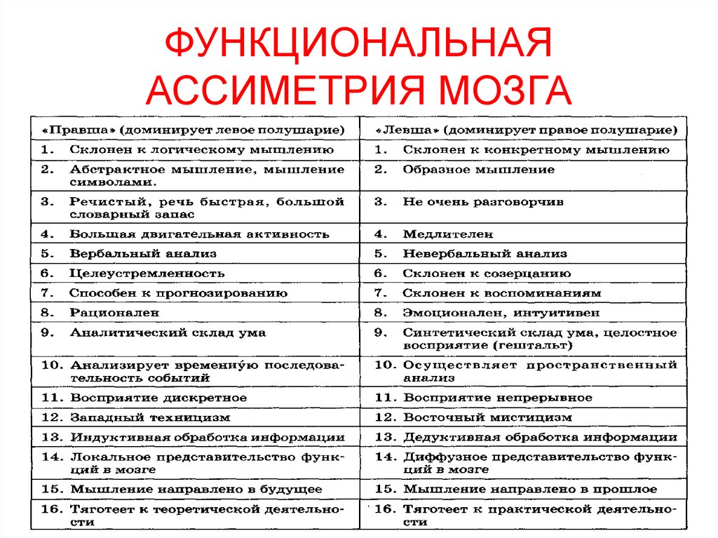 Виды ума. Функциональные методы исследования мозга. Признаки аналитического склада ума. Синтетический склад ума. Функциональная асимметрия мозга: основные теоретические положения.