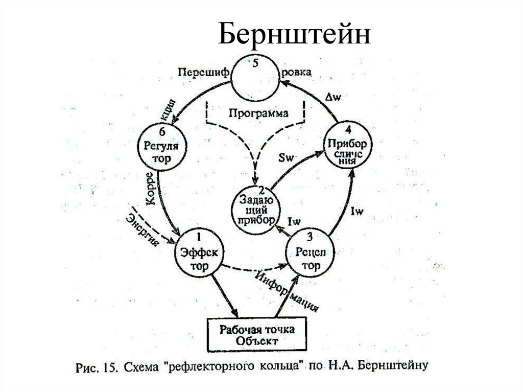 Уровни организации движений схема