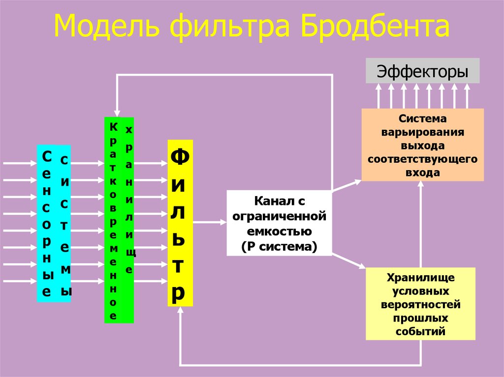 Блок схема внимания как ранней селекции информации